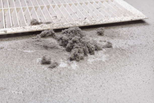 Best Affordable Duct Cleaning Services  in Port Isabel, TX