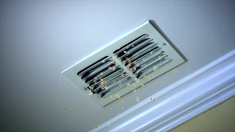 Best Air Duct Cleaning Near Me  in Port Isabel, TX