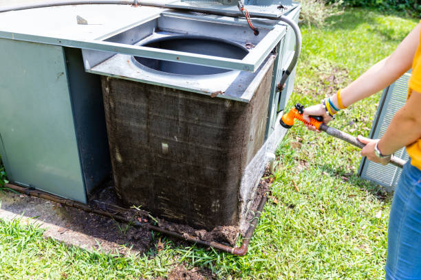 Best Air Vent Cleaning Services  in Port Isabel, TX
