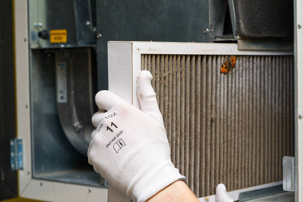 Best Affordable Duct Cleaning Services  in Port Isabel, TX