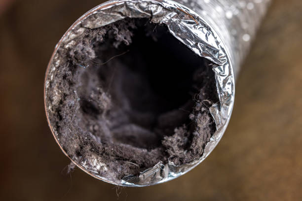 Best Ventilation Cleaning Services  in Port Isabel, TX