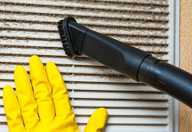 Best HVAC System Cleaning  in Port Isabel, TX